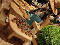 -上海东方佘山翰悦阁酒店·Vie全日制餐厅