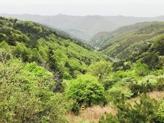 -黄龙山原始森林景区
