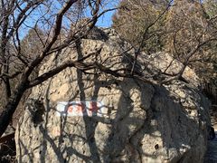 -阳台山自然风景区