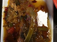 -同济大学(嘉定校区)