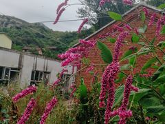 -北京密云天门山风景区