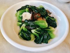 香菇炒青菜-二泉园老菜馆·百年无锡菜