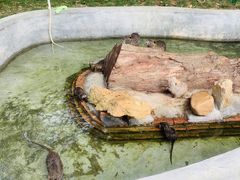 -李小龙乐园(顺德均安店)