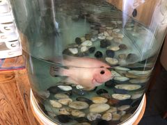 -福海居烤鸭店(鸟巢店)