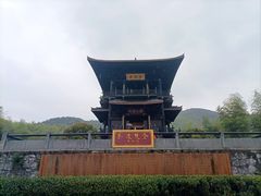 -大唐贡茶院