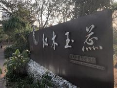 -中澳友谊花园