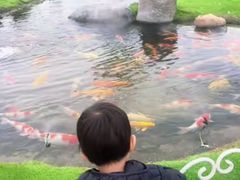 -罗红摄影艺术馆