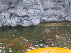 -团结湖公园