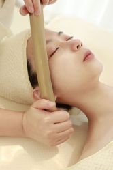 -韩芙莱芳疗spa健康管理