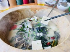 江团鱼-云中鱼蒸汽石锅鱼(川沙百联店)