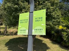 -深圳人才公园