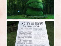 -苏州河梦清园环保主题公园