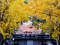 -四川大学(望江校区)