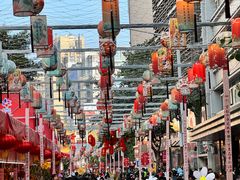 -越秀西湖花市(广州城市广场花卉店)