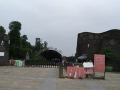 -秀丽东方