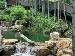 -宜兴龙背山森林公园