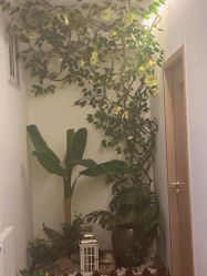 点击看大图 -丹漪·DANYI 美肤中心