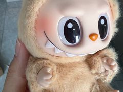 -北京老铺烤鸭(高新店)