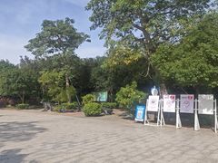 -广东惠东海龟国家级自然保护区