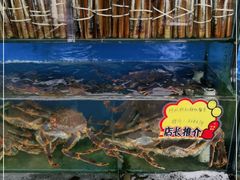 -蚝专家(北滘店)