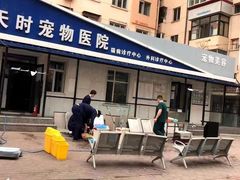 -天时宠物医院24小时疑难病例会诊中心(顾乡大街总院)