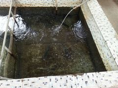 -望湖烤鱼