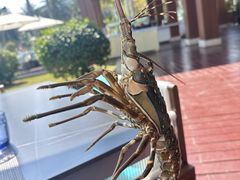 -宴悦海鲜餐厅·游水海鲜·牛排(亚龙湾瑞吉店)