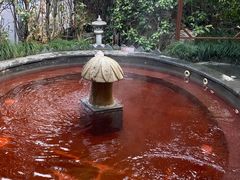 -杭州第一世界大酒店·云曼温泉