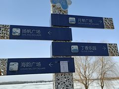 -丁香湖公园