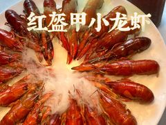 -红盔甲·小龙虾(天钥桥店)