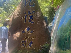 -西双版纳原始森林公园