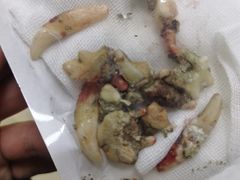 -美联众合动物医院·24h转诊中心