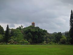 -深圳仙湖植物园
