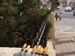 烤鸡心-王记西鎮电烤肉(汶上路店)