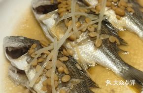 Steamed Yellow Croaker with Soy Bean Paste