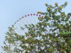 -汕头星城湾欢乐世界