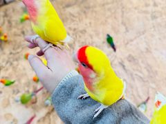 -石家庄市动物园