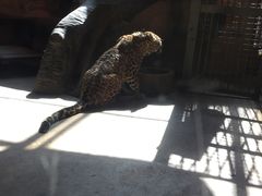 -鄂尔多斯野生动物园