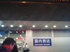 -上海浦东国际机场-T2航站楼