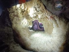 -湖南省地质博物馆