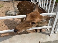 -丽泽山庄·生态怀柔菜·虹鳟鱼(红螺寺店)
