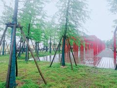 -春花秋色城市公园