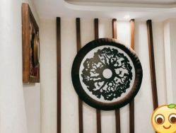 -健身堂科技美肌SPA