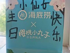 -海底捞火锅(枫蓝国际购物中心店)