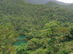 -鼎湖山风景区