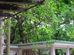 -广州市白云山风景名胜区