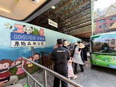 -西双版纳原始森林公园
