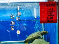 -湘满甲·黄焖甲鱼创始者·湘菜·鲁菜(潘家园店)