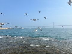 -星海广场