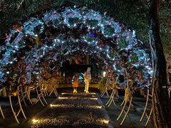 -月光岛(五龙岛)